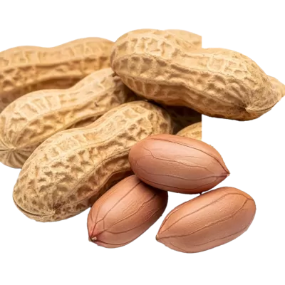 Imagen PNG para descargar